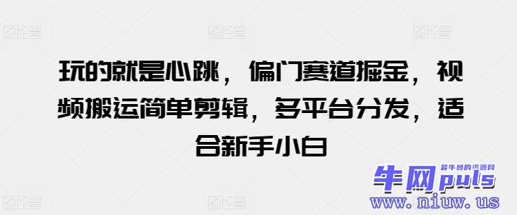 玩的就是心跳，偏门赛道掘金，视频搬运简单剪辑，多平台分发，适合新手小白【揭秘】